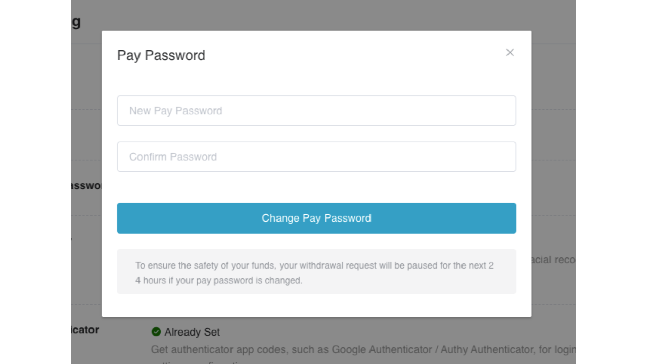 Pay Password dialog showing the new-password and confirmation fields